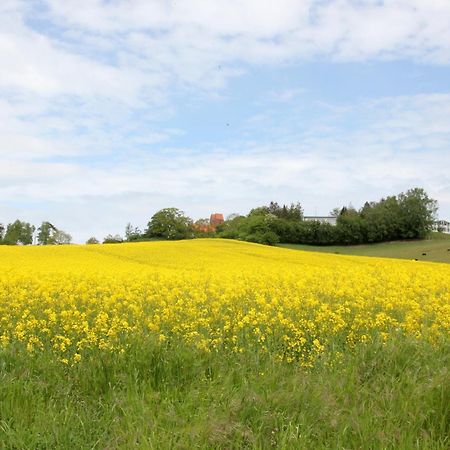 Terrasse, Gratis Nutzung Vom Ahoi Erlebnisbad Und Sauna - Meeresblick Fewo 10 Lägenhet Goehren  Exteriör bild