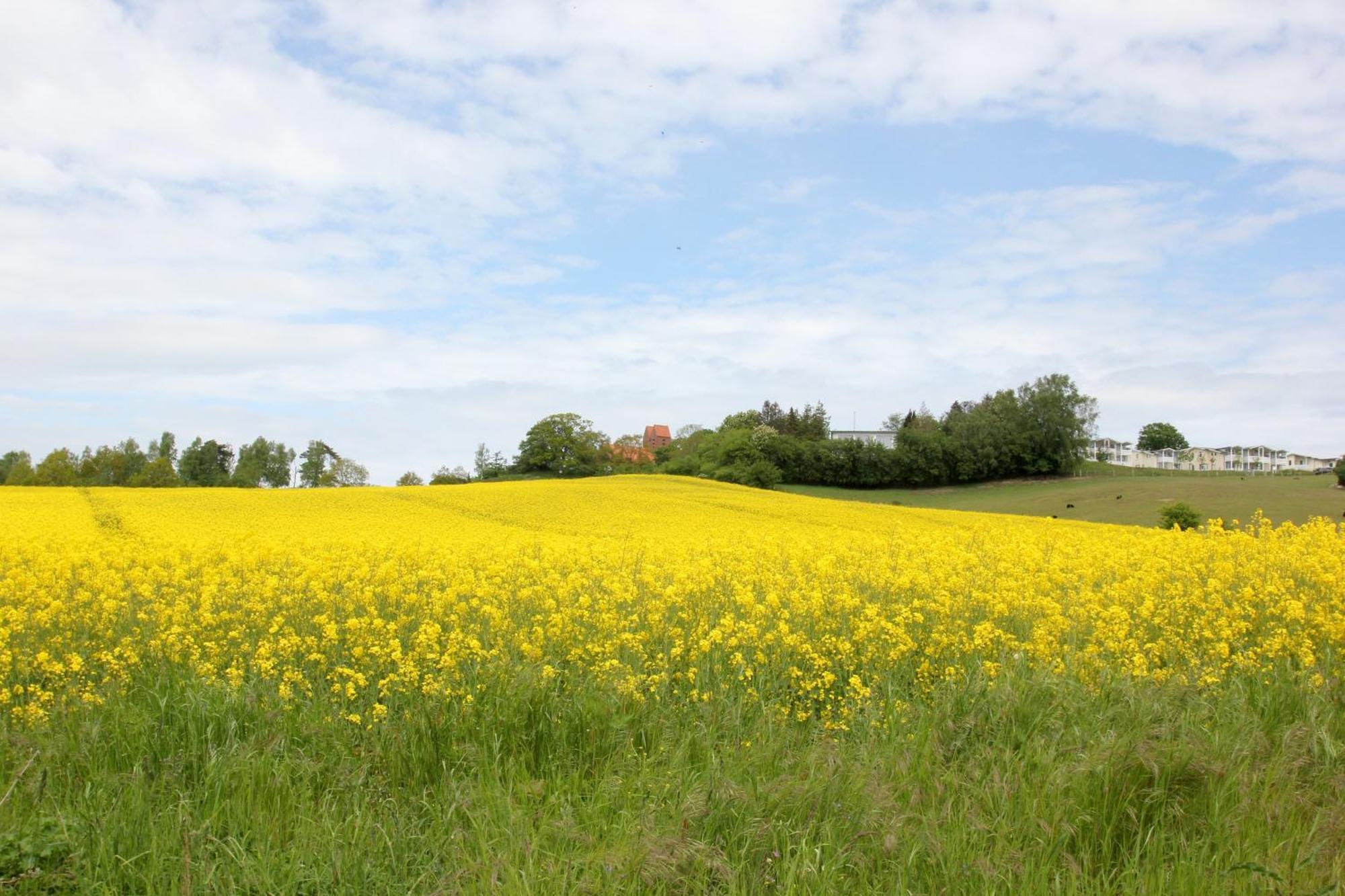 Terrasse, Gratis Nutzung Vom Ahoi Erlebnisbad Und Sauna - Meeresblick Fewo 10 Lägenhet Goehren  Exteriör bild